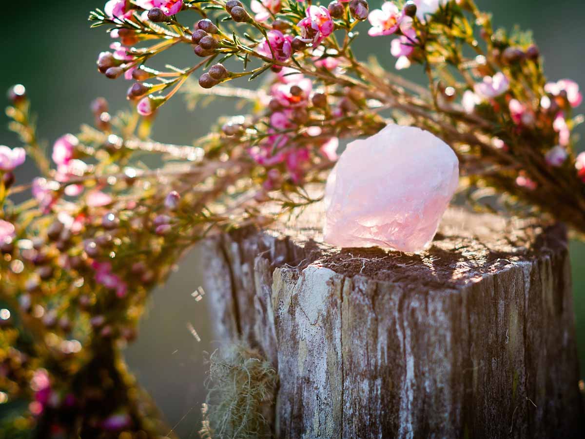 rose-quartz-on-stump